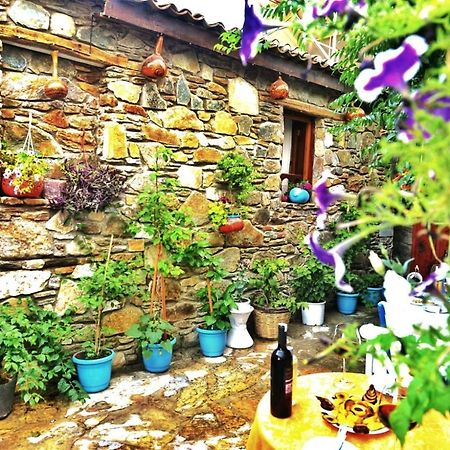 Sirincem Pension Selcuk Exterior photo